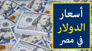 تحركات مفاجئة في سعر الدولار مقابل الجنيه المصري بختام تعاملات يوم 28 فبراير
